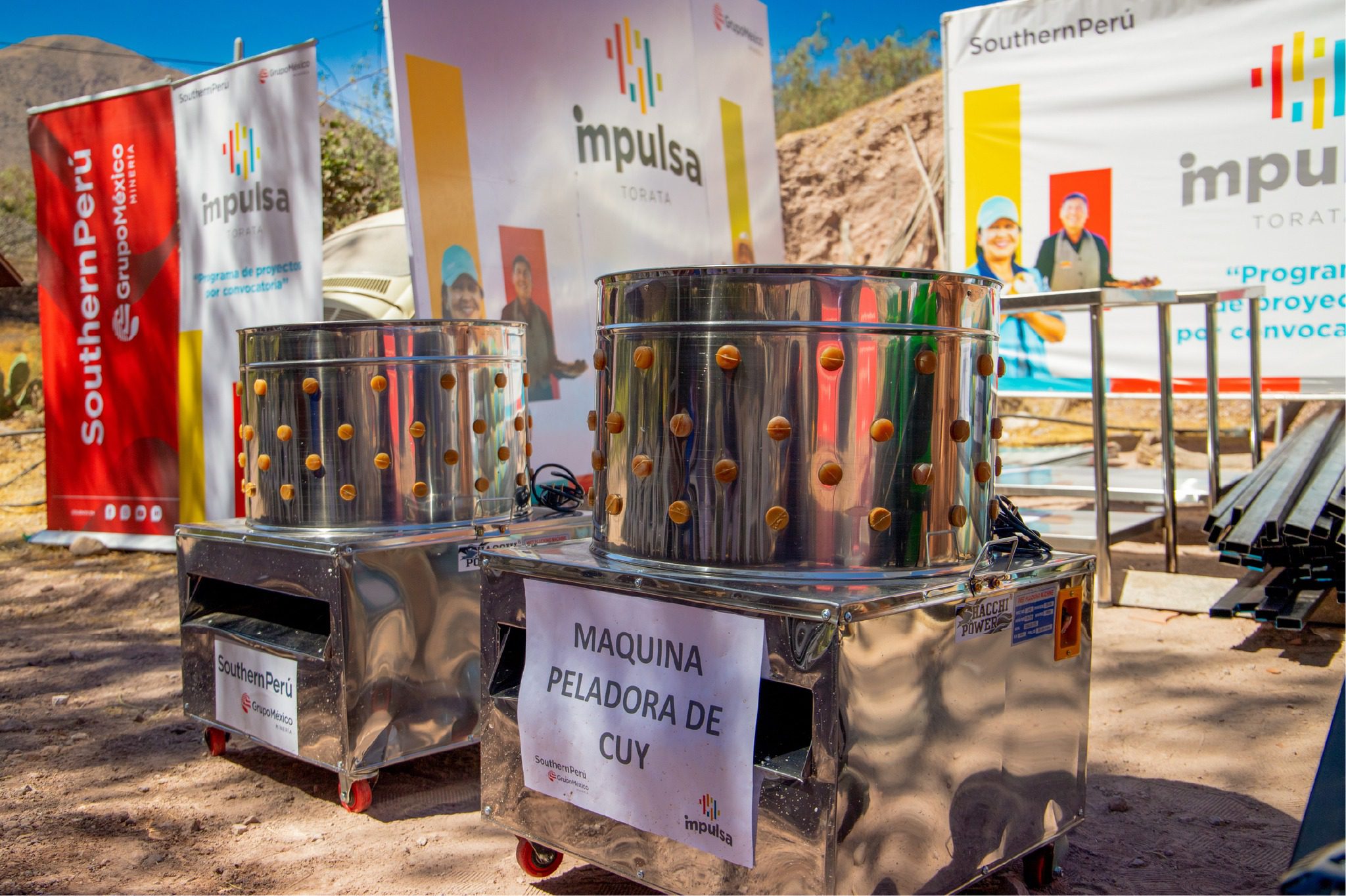 Fortalecen crianza de cuyes en Torata con entrega de capital semilla 20082025 2 La Prensa Regional