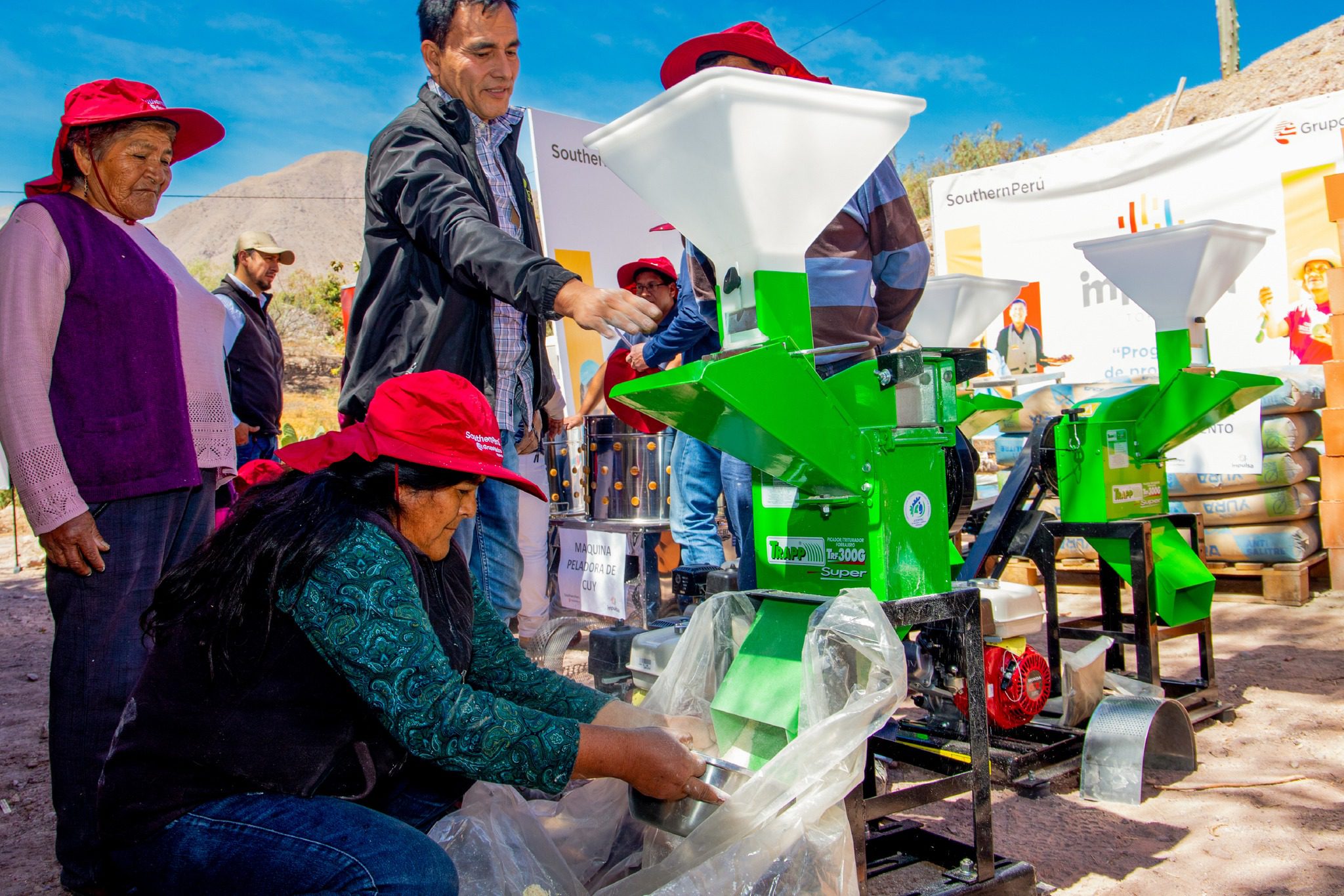 Fortalecen crianza de cuyes en Torata con entrega de capital semilla 20082025 4 La Prensa Regional