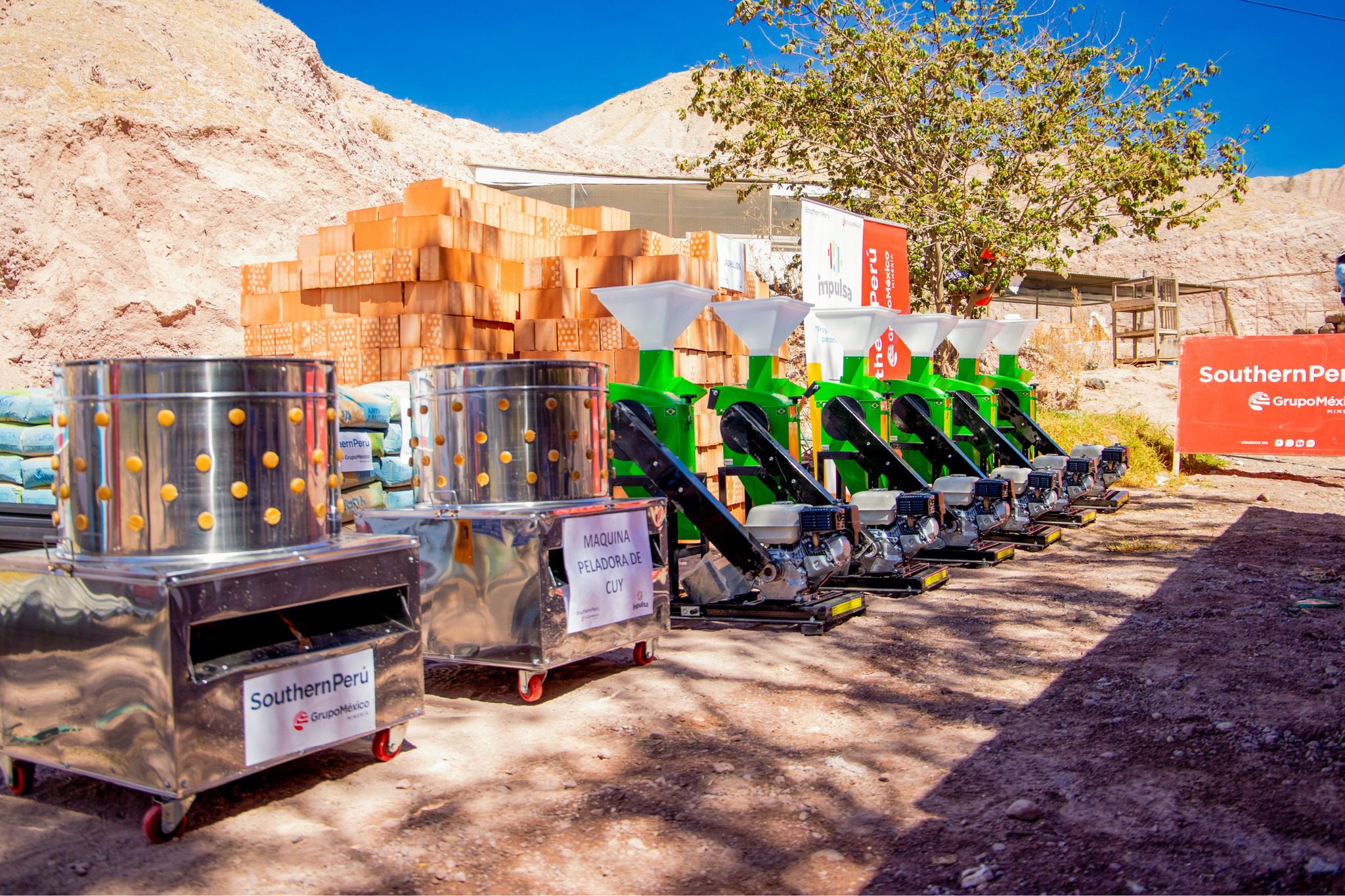 Fortalecen crianza de cuyes en Torata con entrega de capital semilla 20082025 5 La Prensa Regional