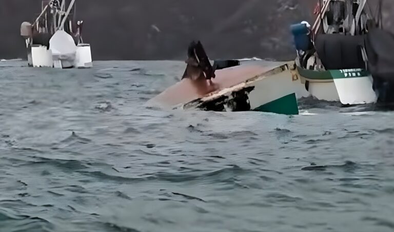 Embarcación pesquera se hunde en bahía de Matarani