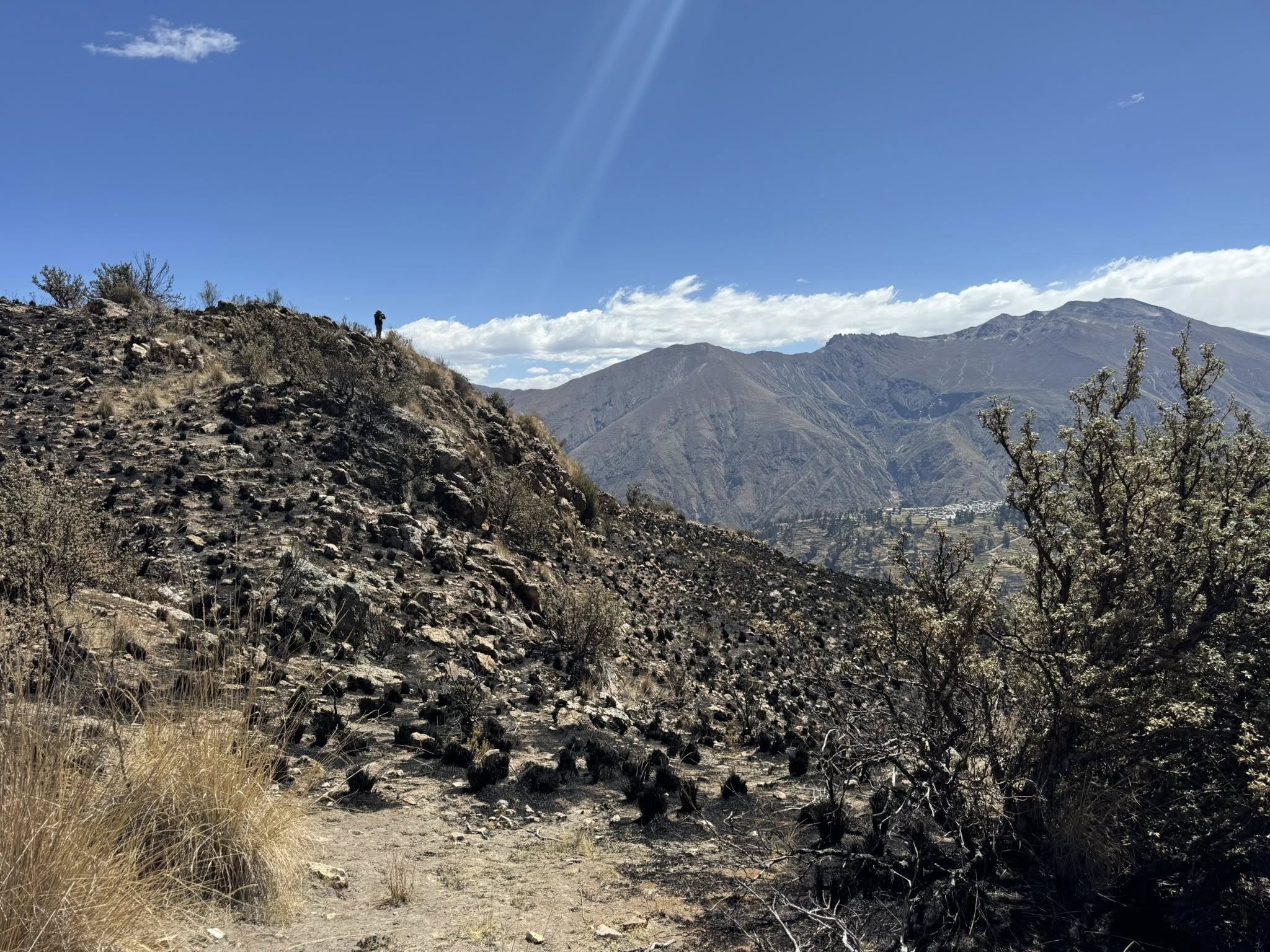 Incendio arraso bosques de quenuales en Cuchumbaya 25082025 3 La Prensa Regional