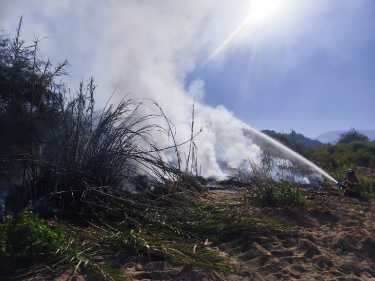 Incendio forestal arrasa cañaveral y arbustos cerca del puente El Rayo 