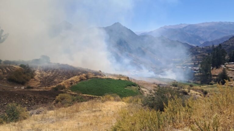 Incendio forestal deja animales calcinados y arrasa el 50 % de pastizales en Solajo