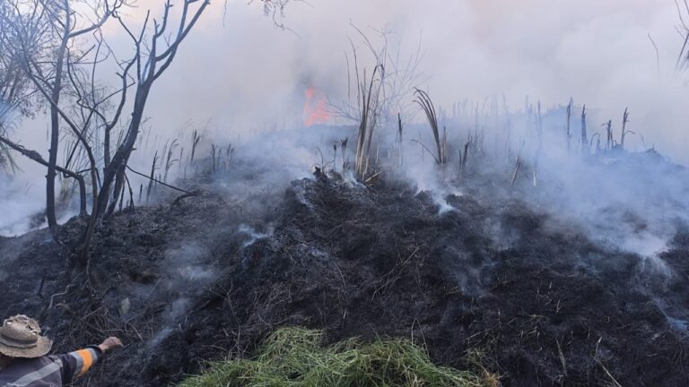 Bomberos controlan incendio forestal en Los Ángeles