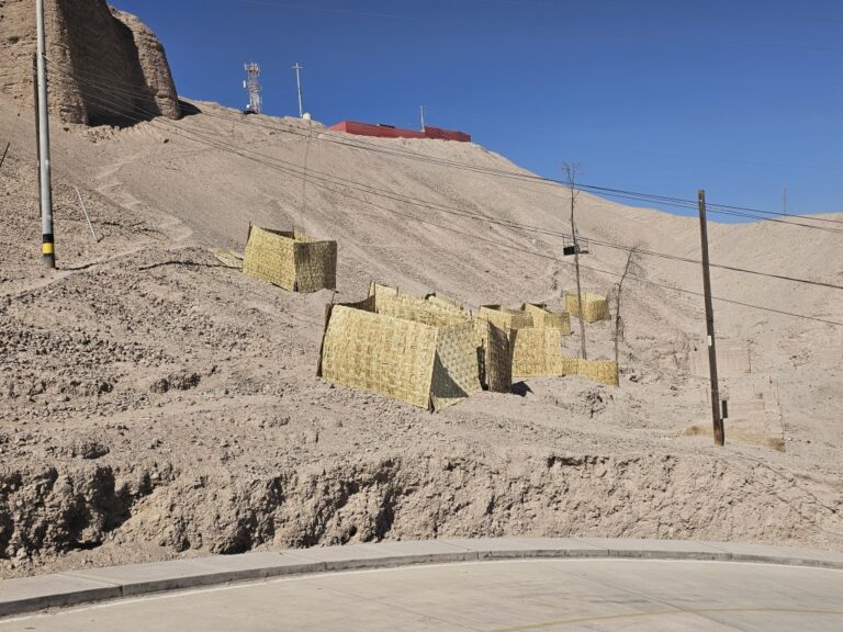 Vecinos impiden ocupación ilegal en ladera peligrosa en El Siglo