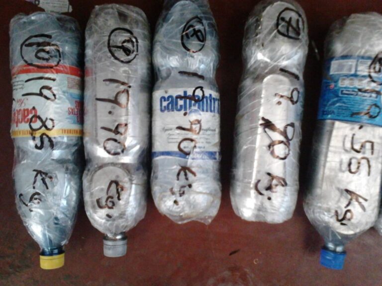 El mercurio envenena bosques, ríos y personas