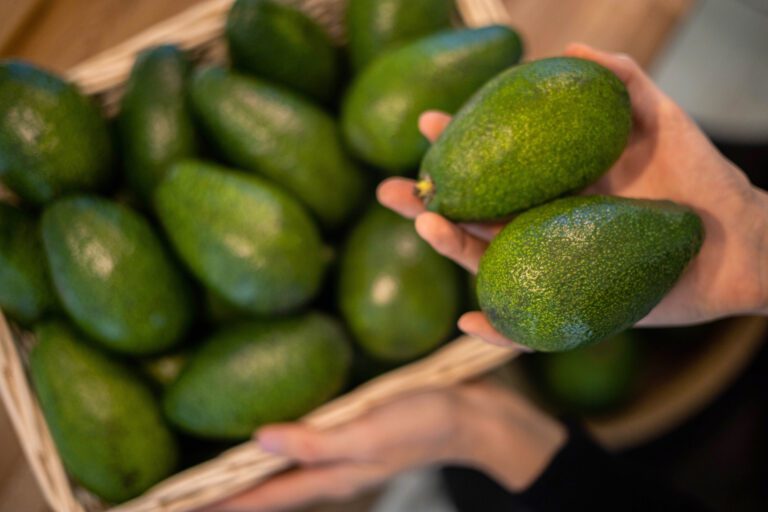Palta peruana: calidad y sostenibilidad responsable