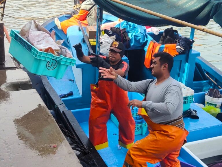 Pescadores de la Macro Sur exigen diálogo directo con la presidenta Dina Boluarte