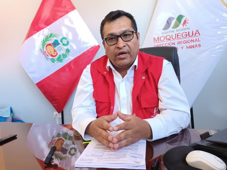 DREM: mineralización de cobre y oro en Ilo aún esta fase preliminar