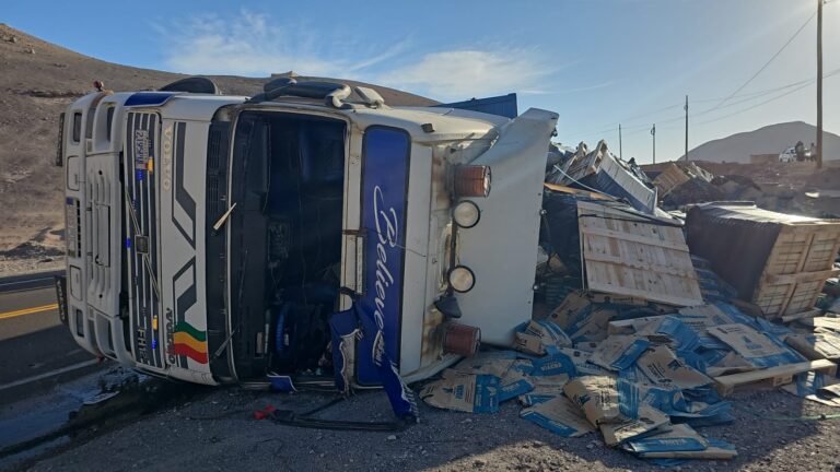 Camión boliviano se despista y vuelca en la Panamericana Sur
