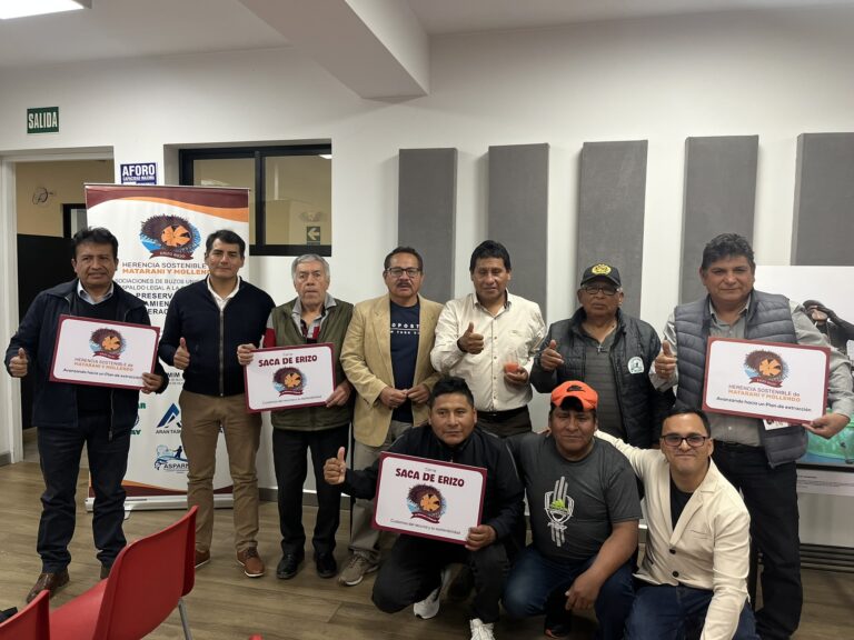 Exposición fotográfica muestra la recuperación del erizo rojo en Matarani y Mollendo