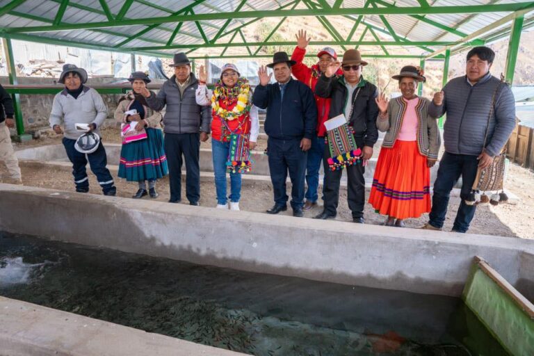 Trinquetes Políticos: Llevando «esperanzas» para Ichuña