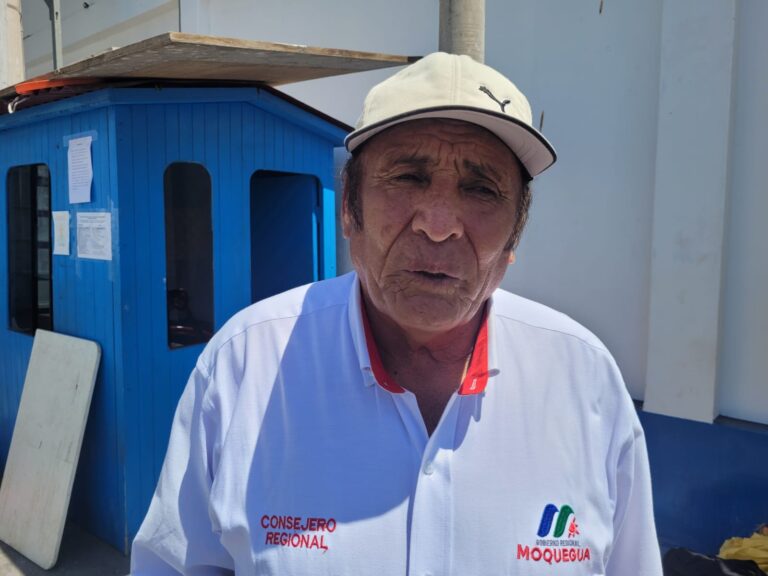 Consejero Hernán García quiere ser vicegobernador regional