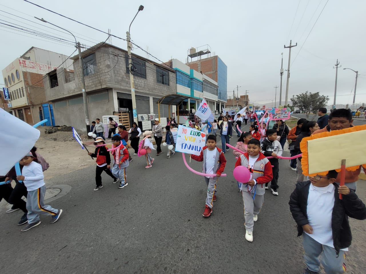 Realizan marcha por la vida y la familia en Ilo y Moquegua 3 Ilo Marcha por la vida y la familia 06092025 1 La Prensa Regional