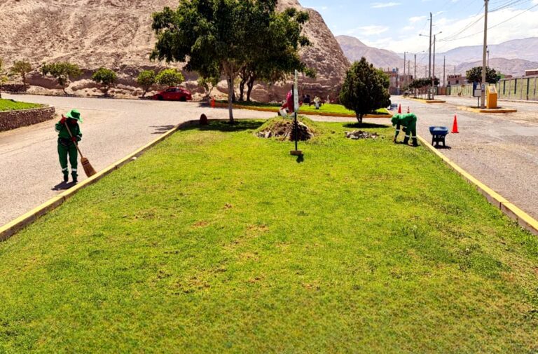 MPMN ejecuta mantenimiento y recuperación de áreas verdes en Chen Chen