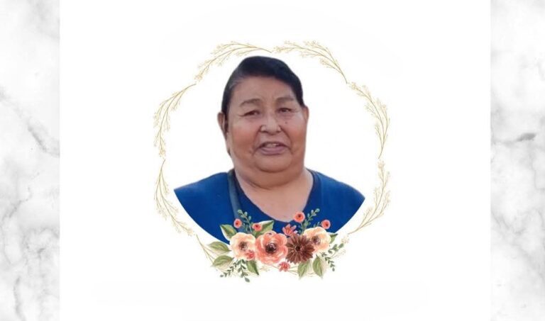 Mujer atropellada frente al campo ferial de Ilo no sobrevivió