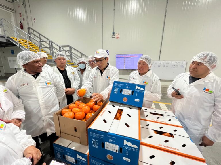 Agricultores del valle de Tambo participaron en pasantía agrícola en Ica