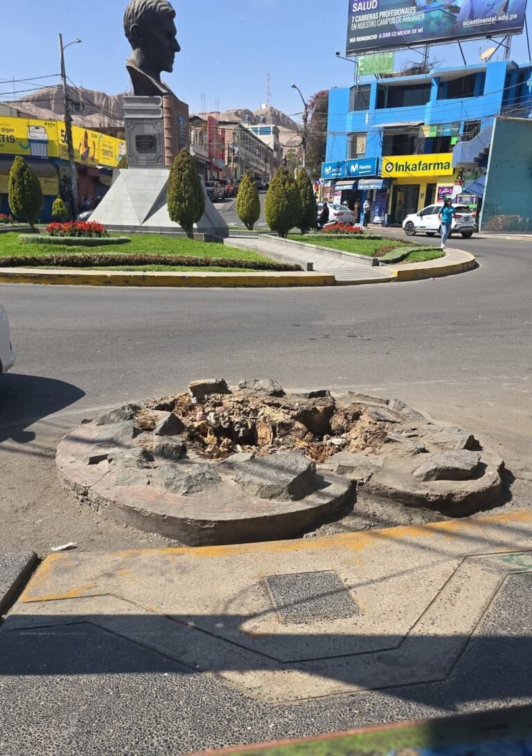 Retiran árbol tallado del óvalo Balta por riesgo de caída