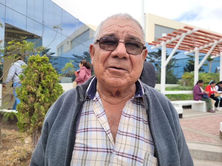 Productores advierten baja histórica en cosecha de aceituna en Ilo