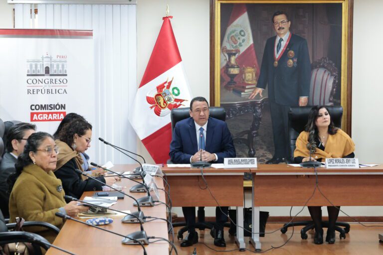 Trinquetes Políticos: Atención alcaldes de zonas andinas