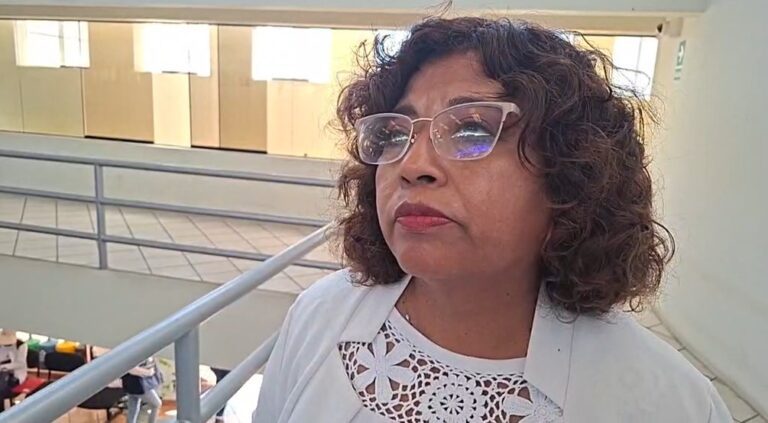 Regidores buscan dejar expedito el Muelle Hayduk para iniciativas de inversión