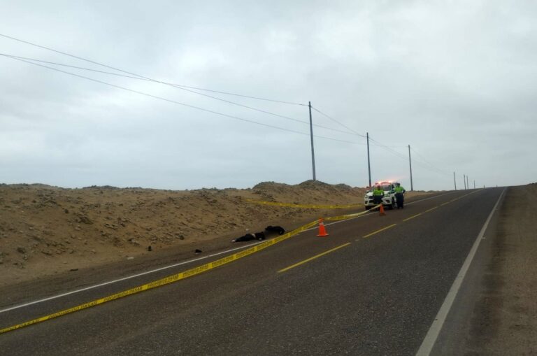 Ilo: Hombre muere atropellado en la carretera Costanera Sur; conductor fugó del lugar