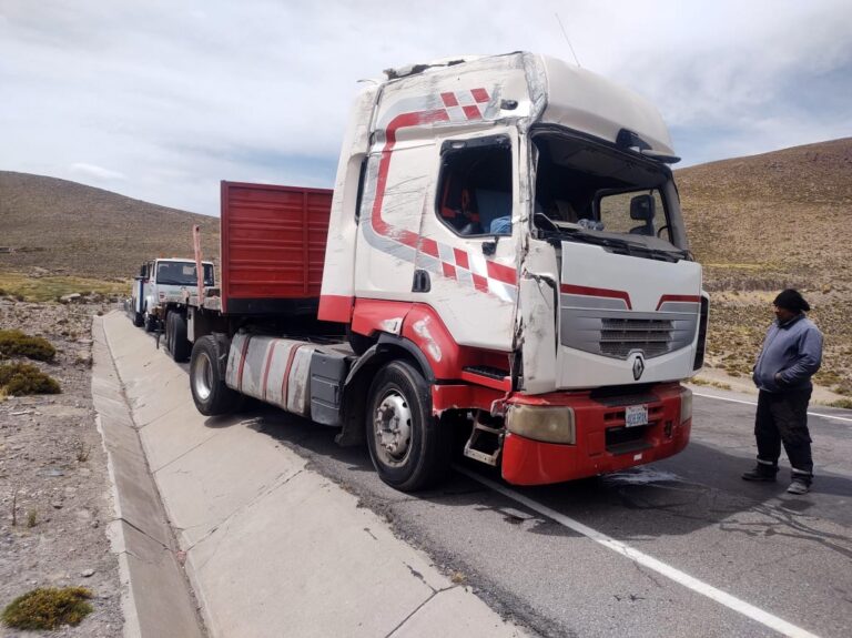 Camión boliviano cargado con bobinas de metal se despistó en la carretera Binacional