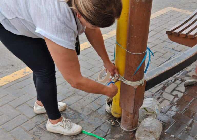 Indignación en Mollendo: destruyen comederos instalados para perros callejeros