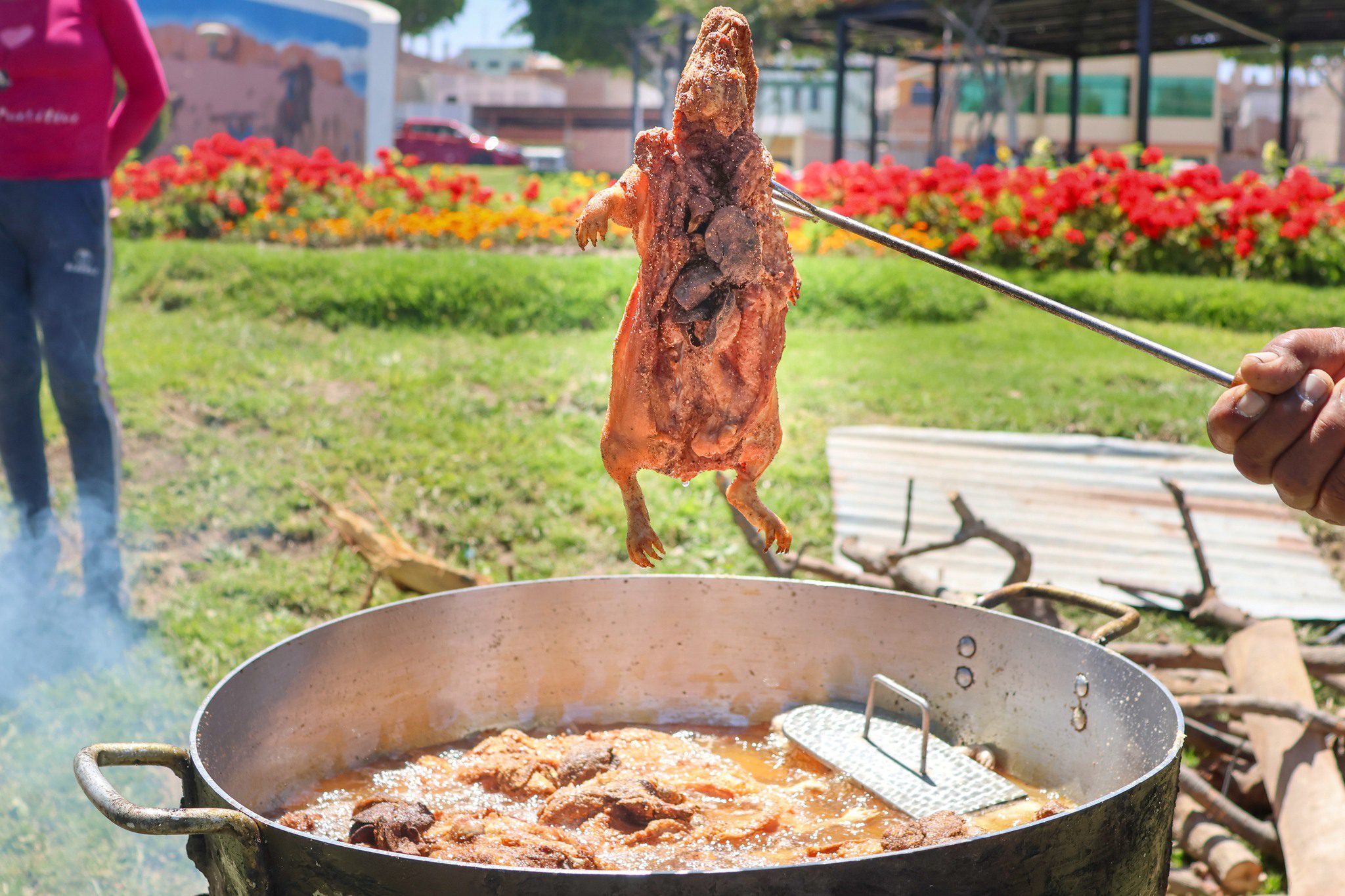 Visitando el pasado de mi Moquegua (IV) 4 Dia Nacional del Cuy MD San Antonio 10102025 13 La Prensa Regional