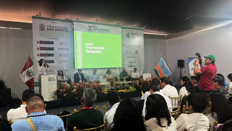 Arequipa impulsa propuesta para ferias macroregionales en Cerro Juli