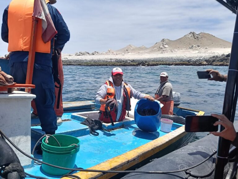 Fiscalizan extracción de pulpo en la Reserva Nacional Punta Coles