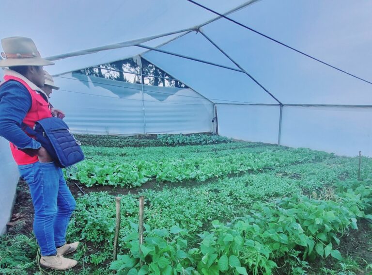 Proyecto Haku Wiñay beneficia a 400 familias de Cocachacra