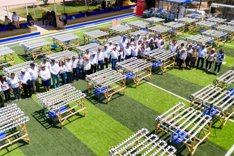 Hidrohuertos: innovación que impulsa la agricultura sostenible en El Algarrobal