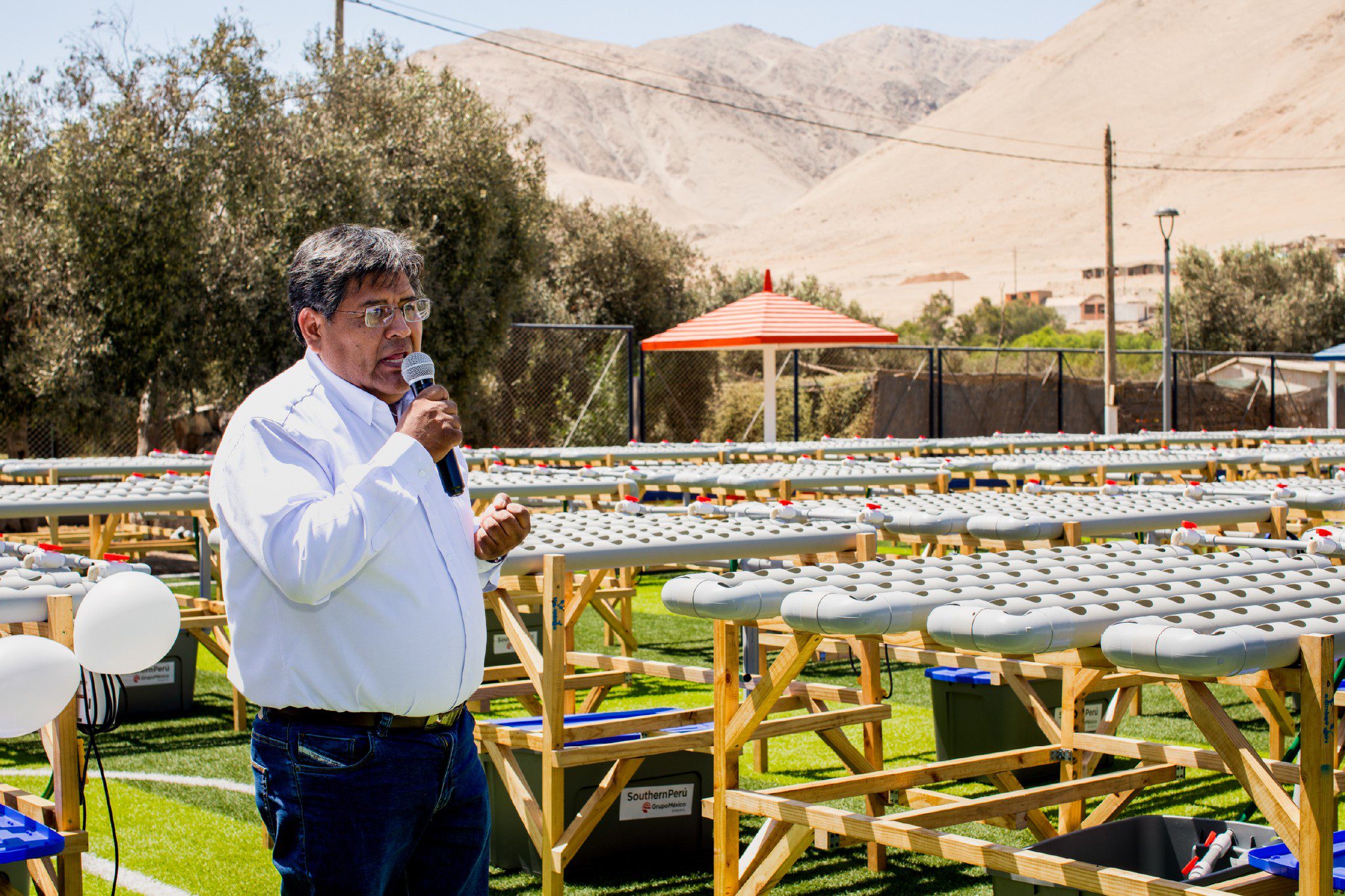 Hidrohuertos: innovación que impulsa la agricultura sostenible en El Algarrobal 5 Hidrohuertos en El Algarrobal Southern Peru MDEA 102025 6 La Prensa Regional