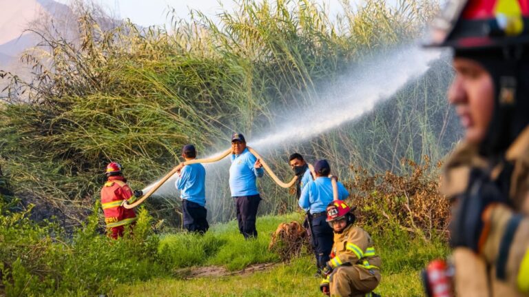 Advierten multas de hasta 26 millones de soles por incendios forestales