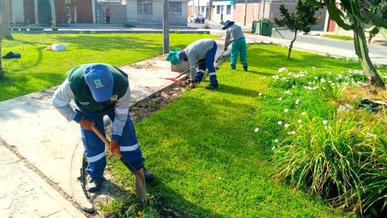 La Curva: siembran plantas ornamentales en la plaza de Fátima
