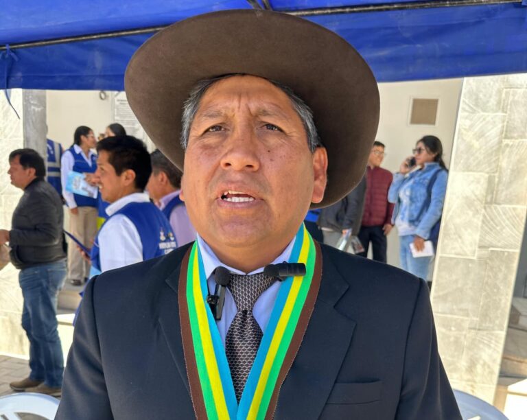 Trinquetes Políticos: Carumas: obras, “wiflas pichón”