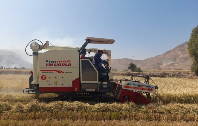 Tecnificando el Agro mejora productividad en el valle de Tambo