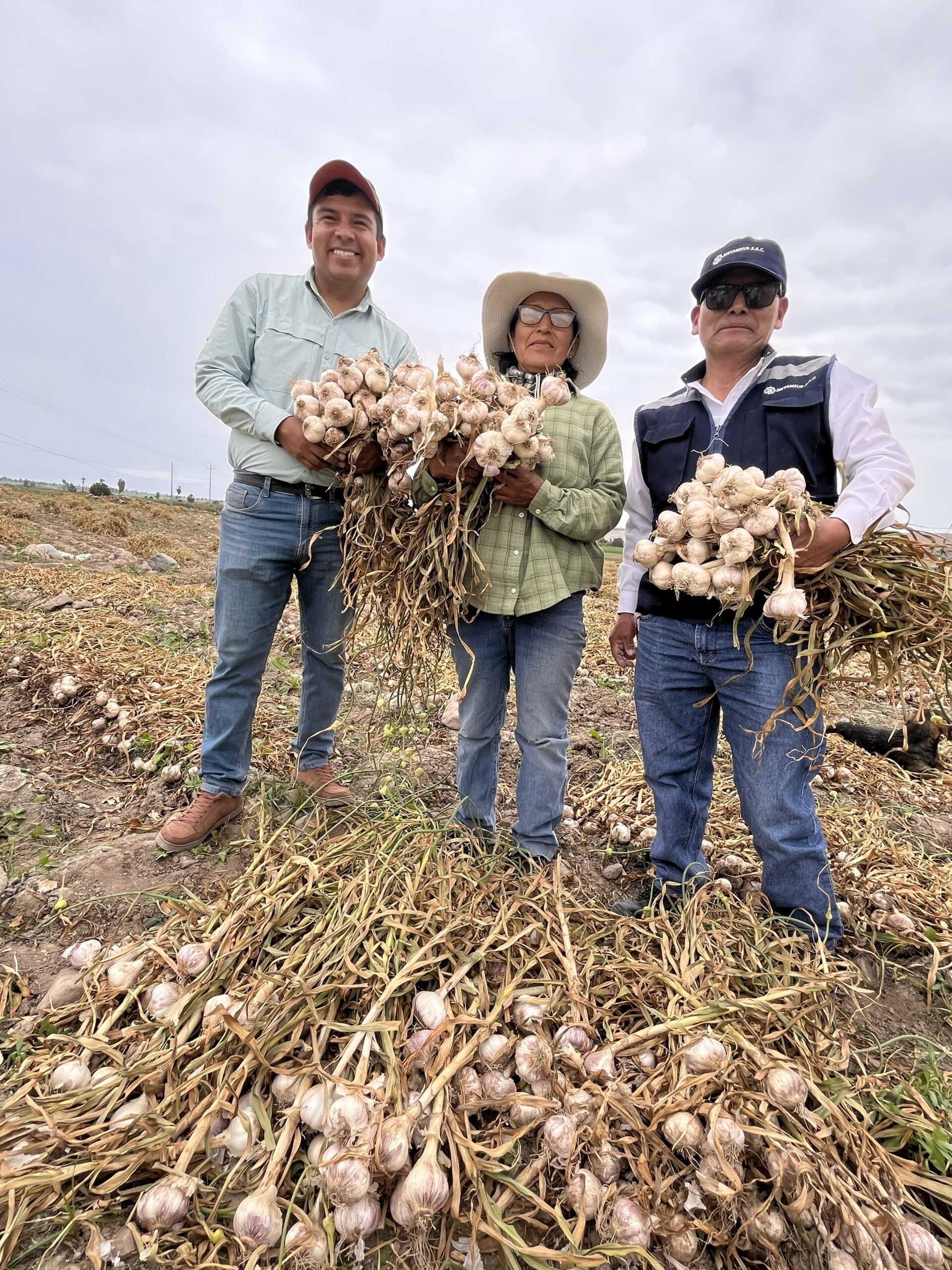 Tecnificando el Agro mejora productividad en el valle de Tambo 1 Tecnificando del agro valle de Tambo Tia Maria 30102025 2 scaled La Prensa Regional