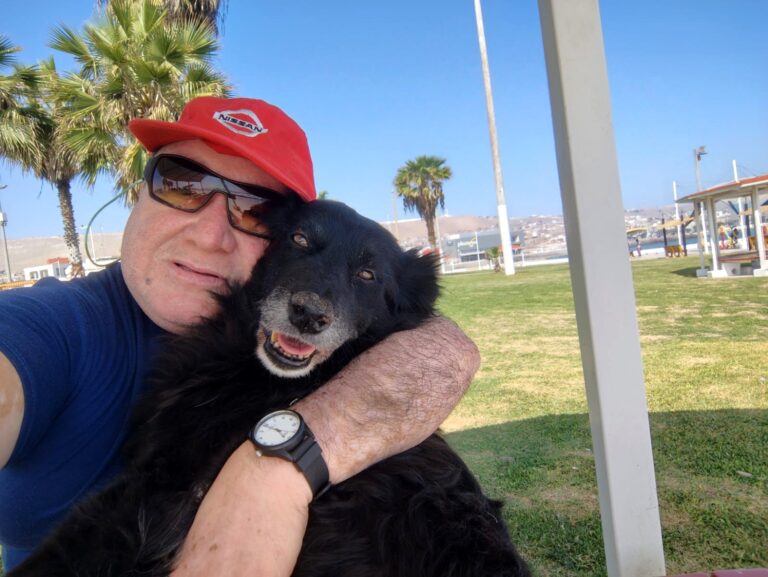 Un final feliz para ‘Negra’: gratitud a la solidaridad animalista y empresarial en Ilo