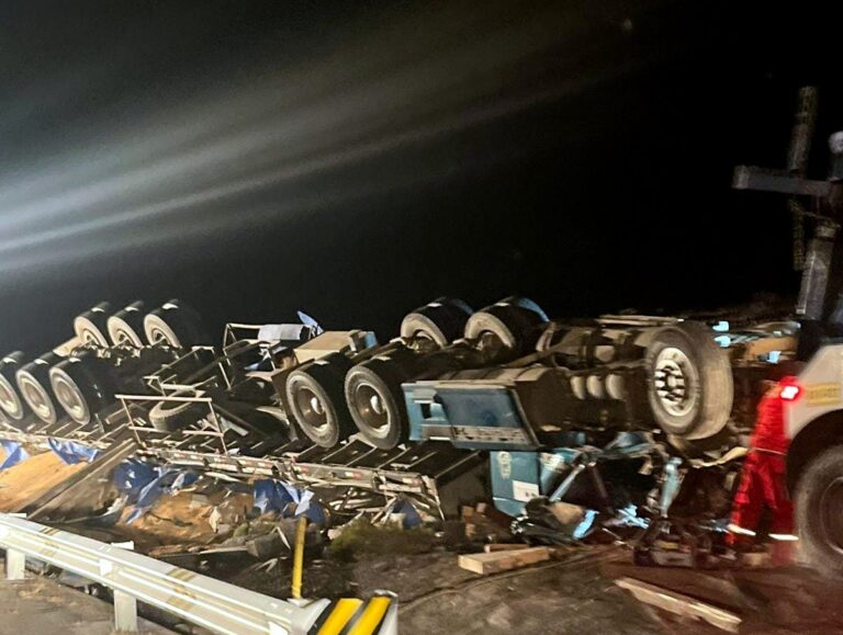 Camión boliviano cargado con soya volcó en la carretera Binacional