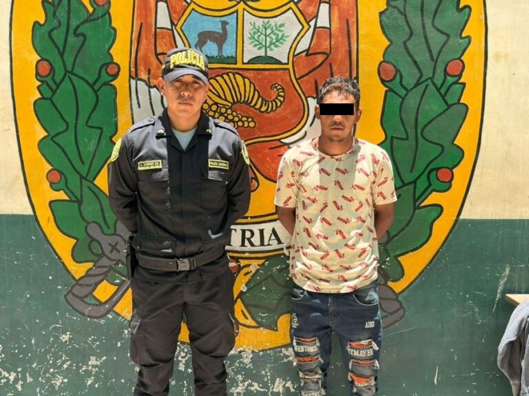 Capturan a extranjero que robó costoso celular en un local comercial