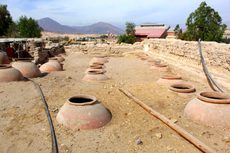 La ruta del vino en Moquegua: legado de un valle que nació para ser grande