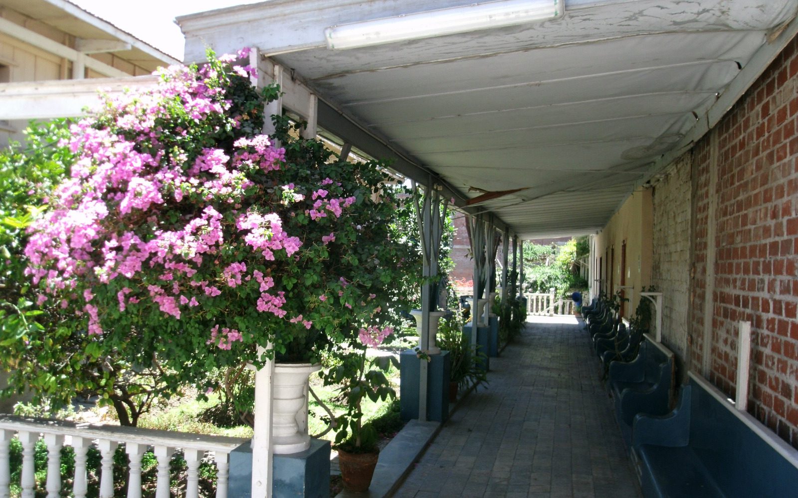 Visitando el pasado de mi Moquegua (V) 2 Pasado Moquegua – 3 Hotel Los Limoneros La Prensa Regional