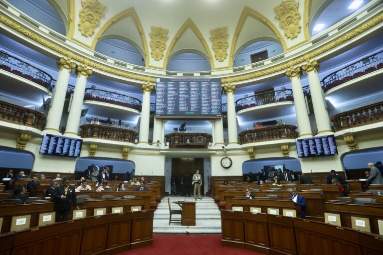 La nueva Cámara de Diputados