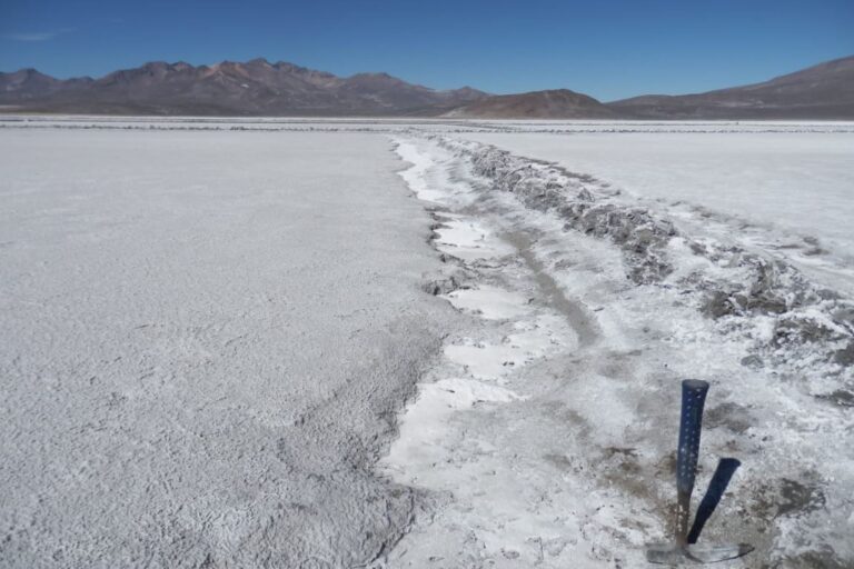 El litio: avances, demoras y las oportunidades