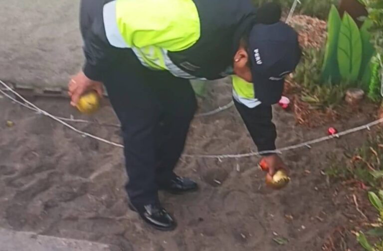 Actos vandálicos dañan decoración navideña de la Primera Playa
