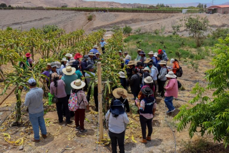 Agricultores de San Antonio recibieron capacitación para mejorar su productividad