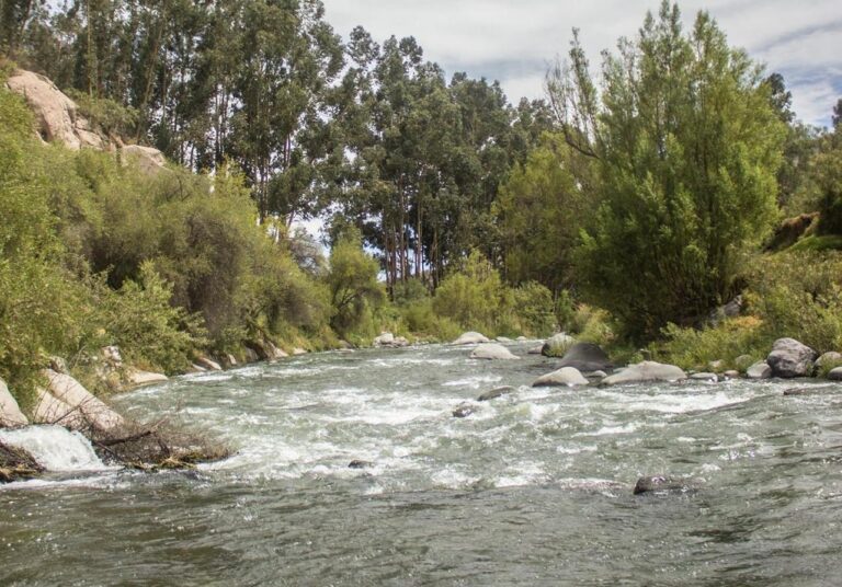 Sedapar expone en AUPI sobre captación de agua del río Chili