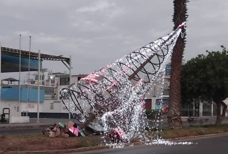 Automóvil se despista, derriba árbol navideño y conductor se da a la fuga